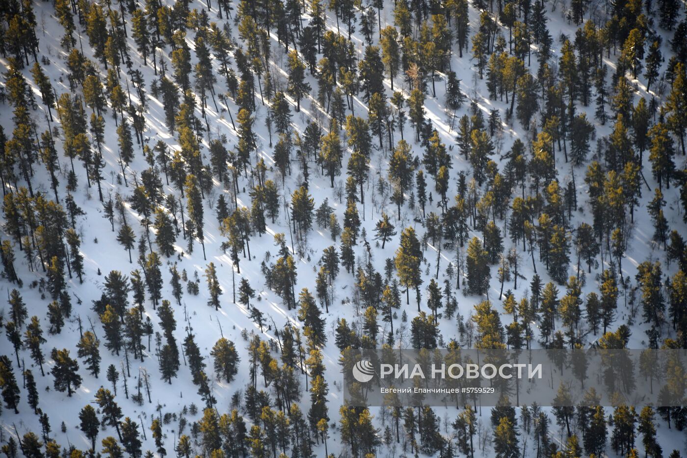 Первый субсидированный пассажирский рейс в село Менза Забайкальского края