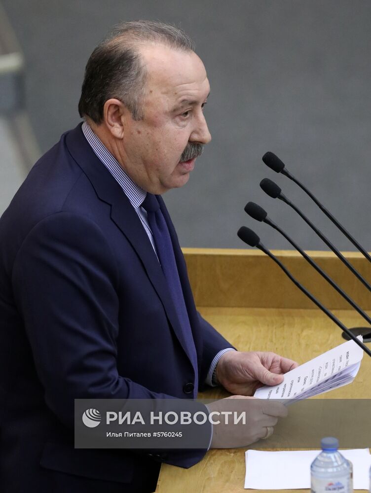 Пленарное заседание Госдумы РФ