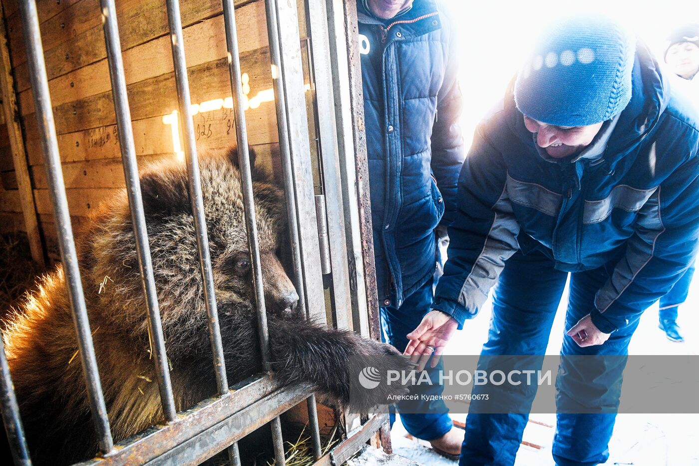 Спасенную на Камчатке медведицу Машу привезли в центр реабилитации в Калуге