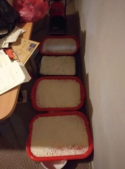 ФСБ России пресекла деятельность преступной группы по производству наркотиков