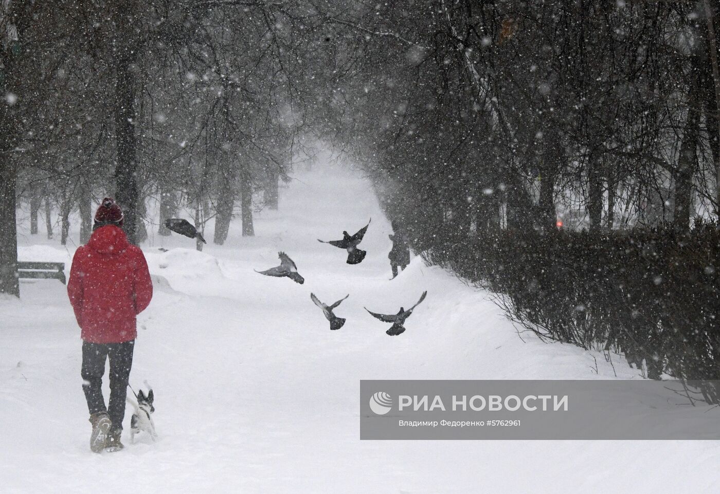 Снегопад в Москве