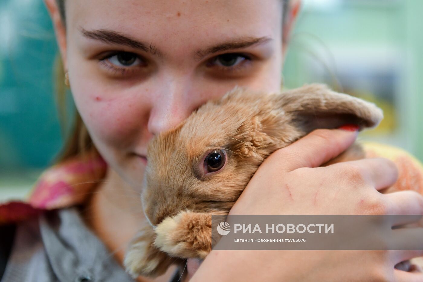 Выставка декоративных кроликов