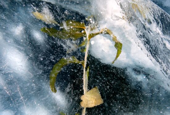 Озеро Байкал