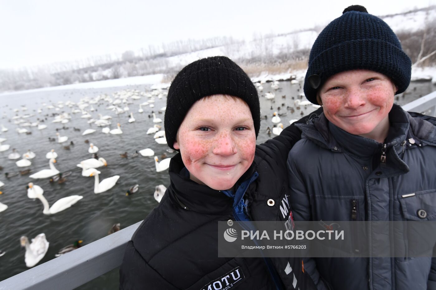 Государственный природный комплексный заказник "Лебединый"