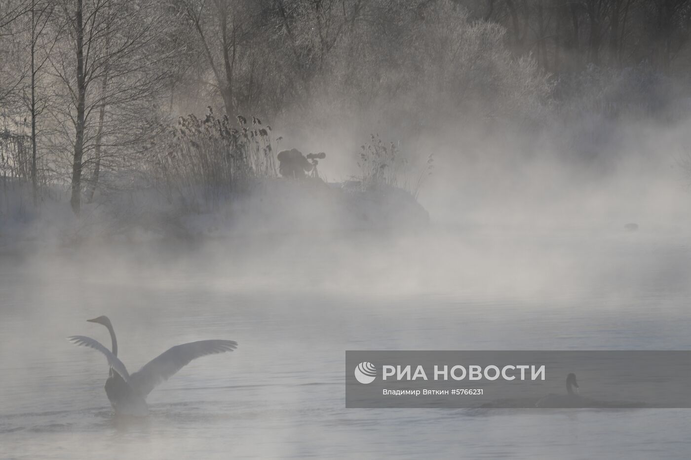 Государственный природный комплексный заказник "Лебединый"