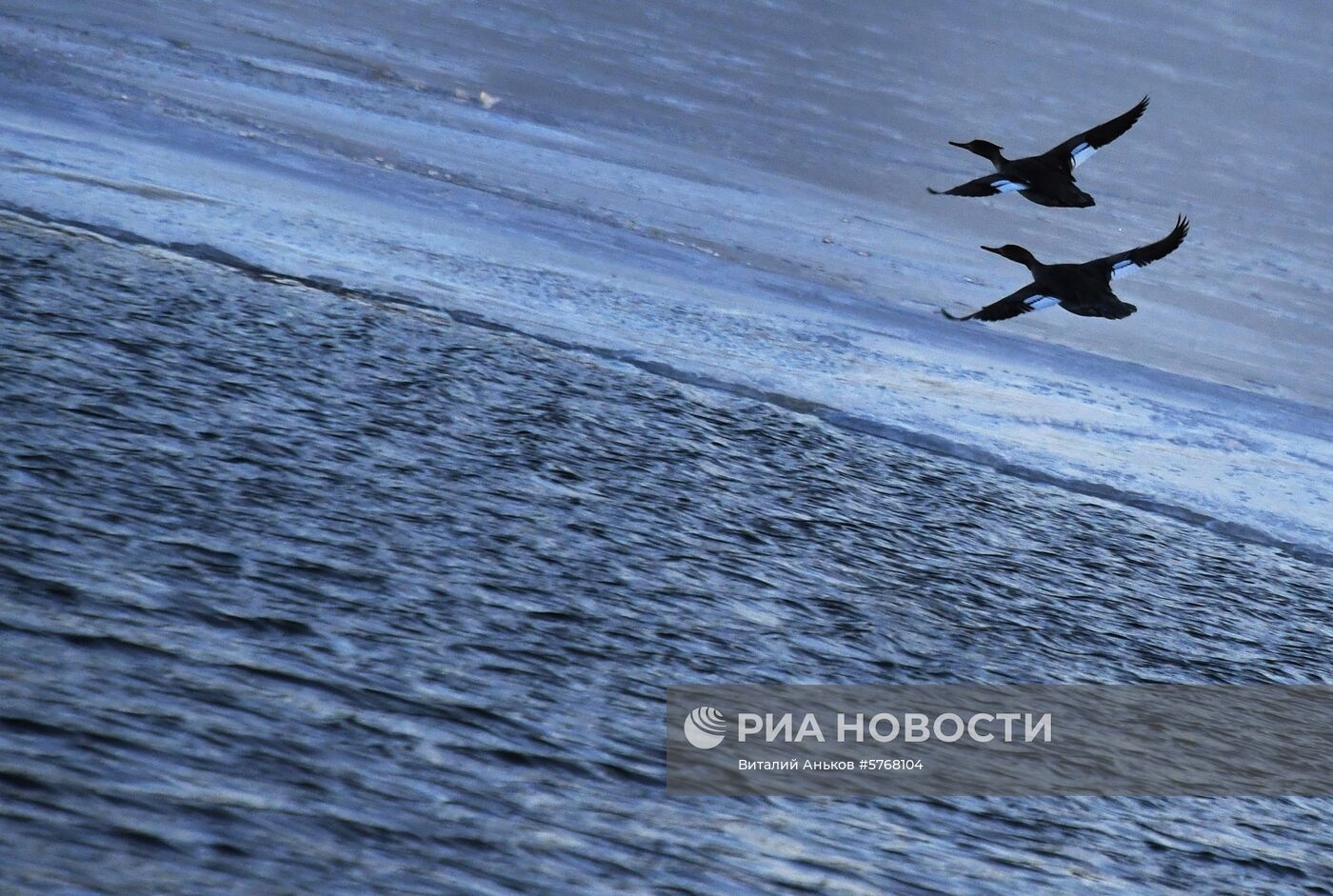 Регионы России. Владивосток
