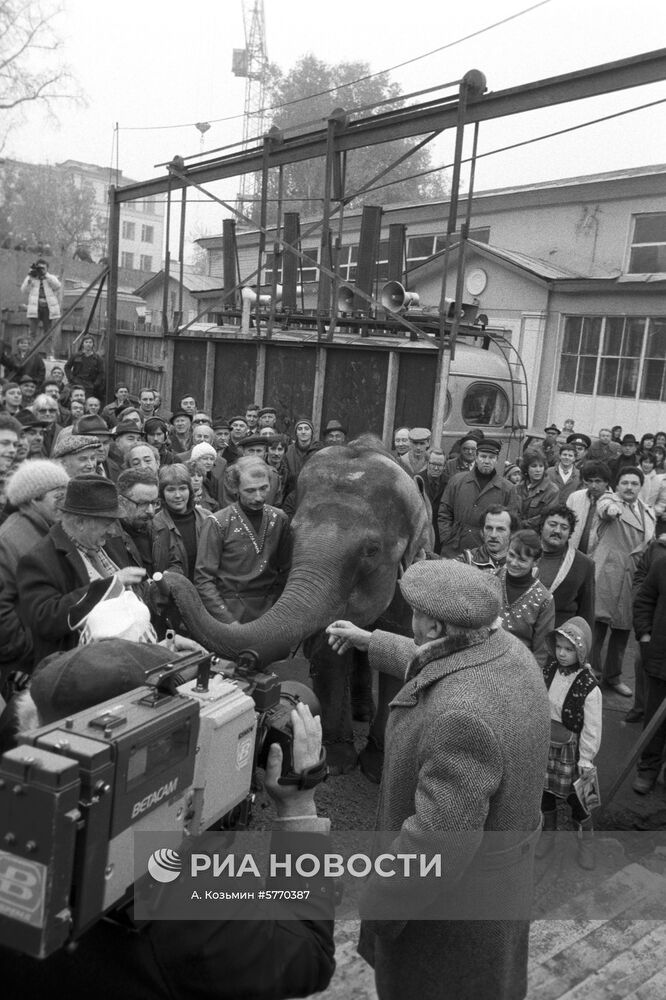 Московский цирк на Цветном бульваре