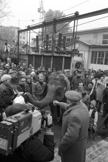 Московский цирк на Цветном бульваре