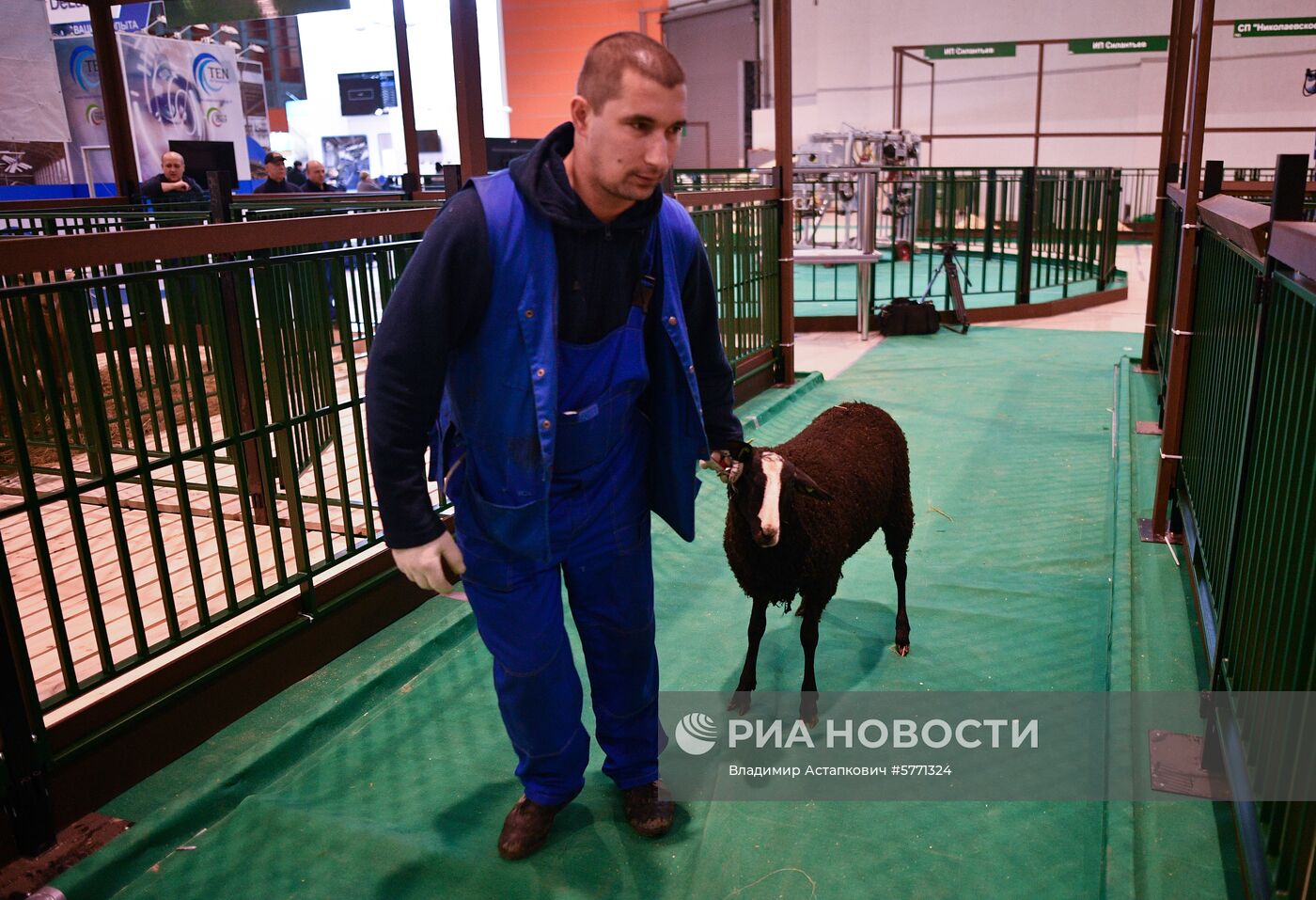 Завоз племенных животных на международную выставку «АгроФарм-2019»