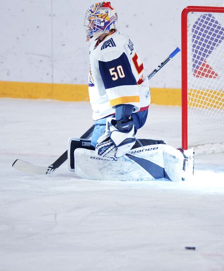 Хоккей. КХЛ. Матч "Автомобилист" - "Металлург"