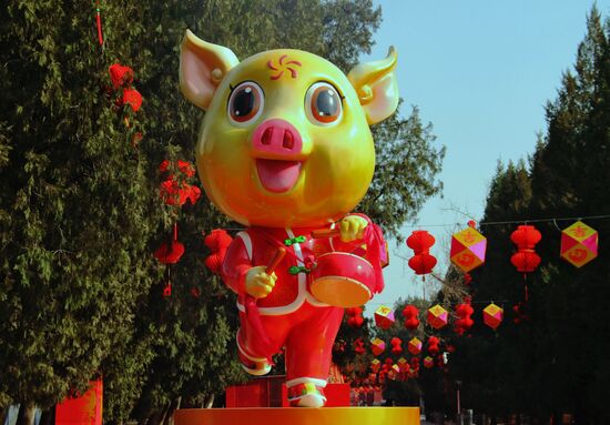 Жители Китая встретили год Земляной свиньи