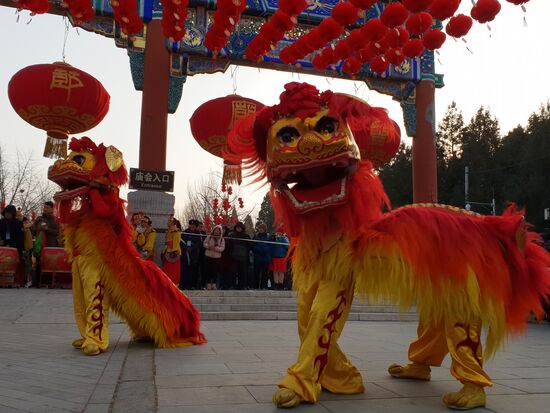 Жители Китая встретили год Земляной свиньи Жители Китая встретили год Земляной свиньи