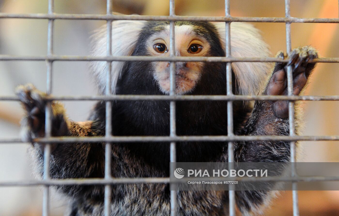 Пополнение в Ростовском зоопарке