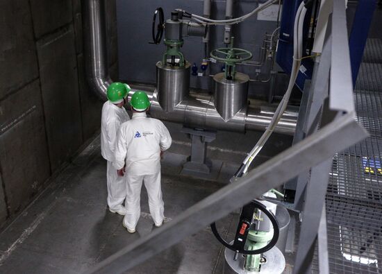 Кольская АЭС 