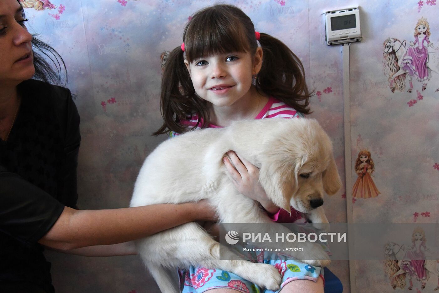 Девочке из Приморья подарили щенка после письма Путину