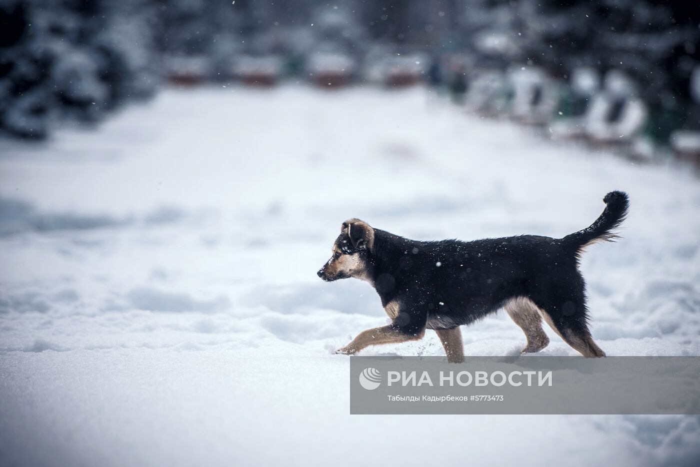 Зима в Бишкеке