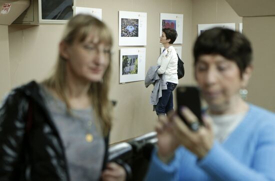 Открытие выставки победителей конкурса им. Андрея Стенина в Тель-Авиве