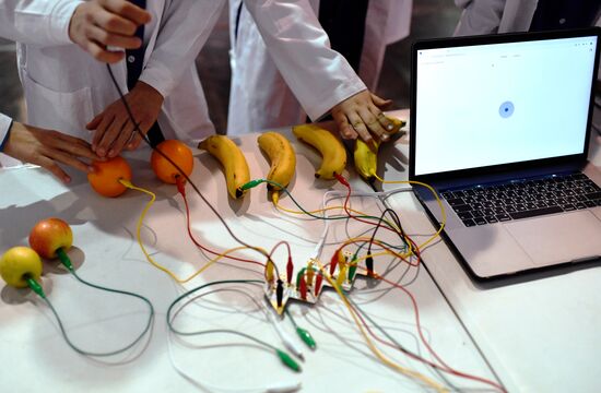 Всероссийский фестиваль науки «АртСайнс» в «Артеке»