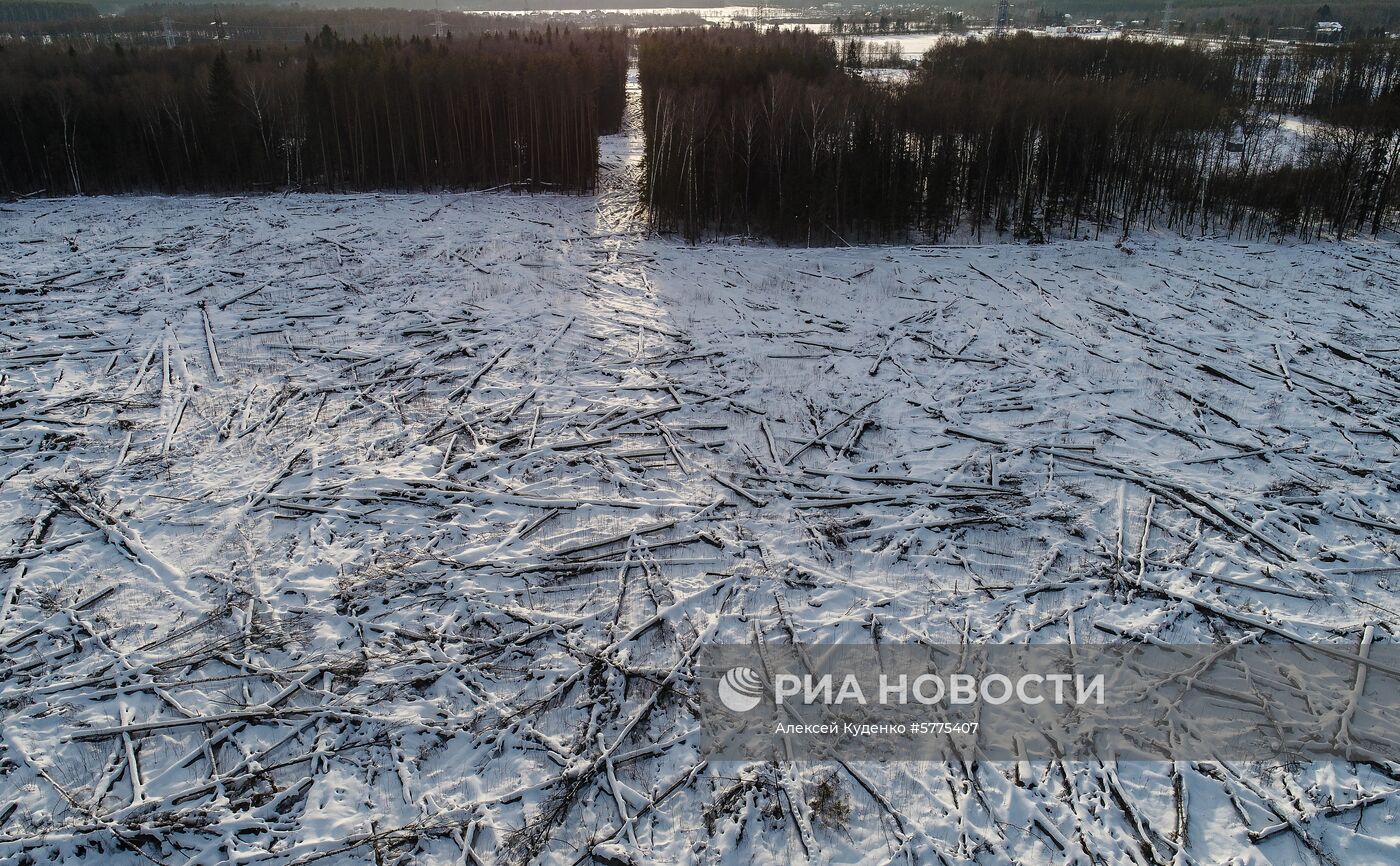 Виды Новой Москвы