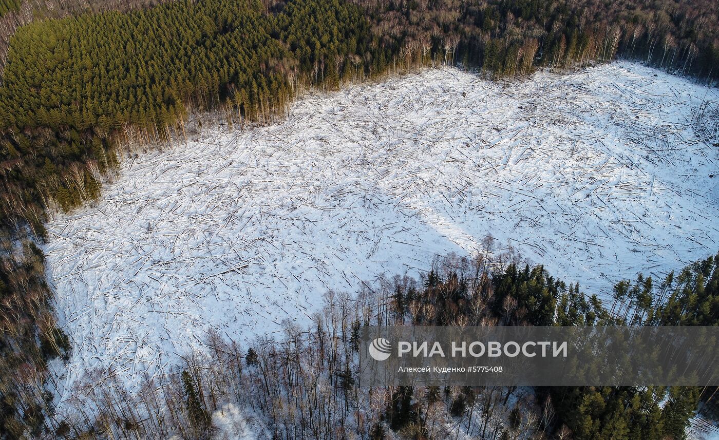 Виды Новой Москвы