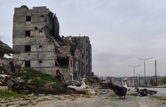 Жизнь в разрушенных районах сирийского Алеппо