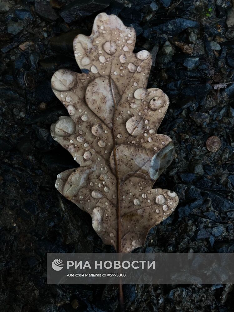 Регионы России. Крым