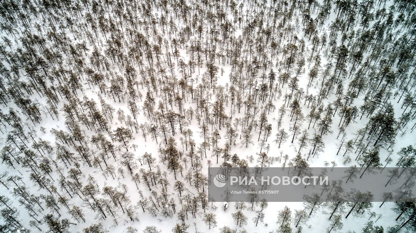 Зимняя Карелия