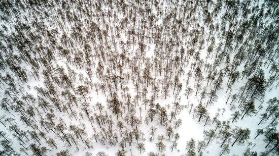 Зимняя Карелия