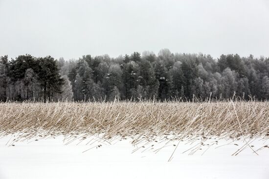Зимняя Карелия