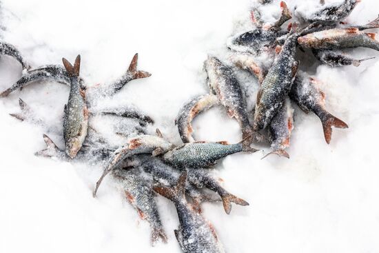 Зимняя Карелия