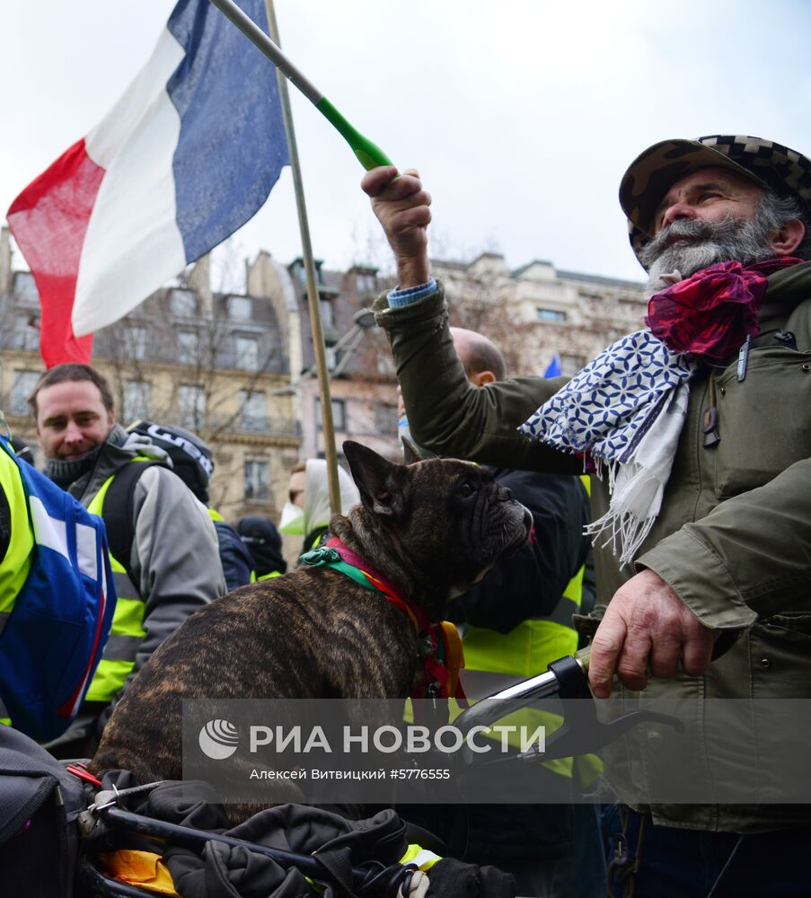 Акция протеста "жёлтых жилетов" во Франции