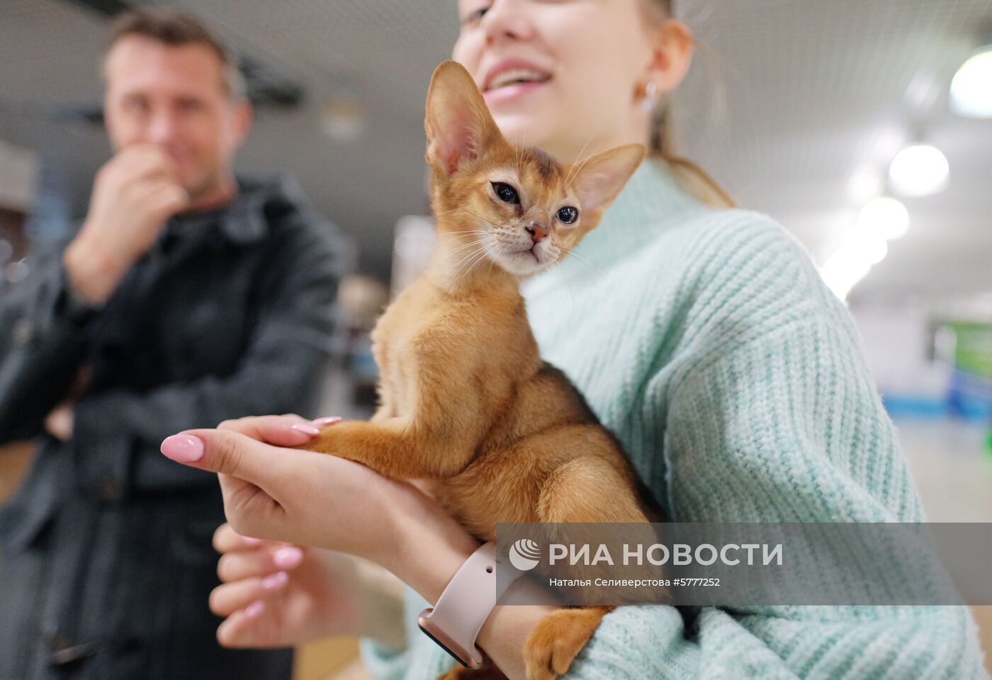 Выставка котят "Любимчик" в Москве