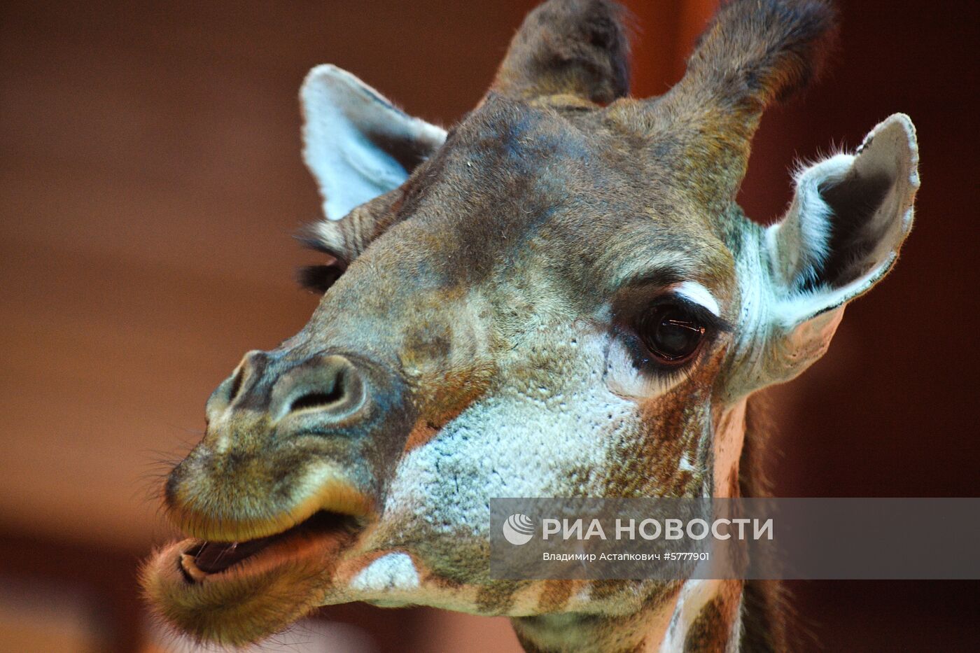 Московский зоопарк