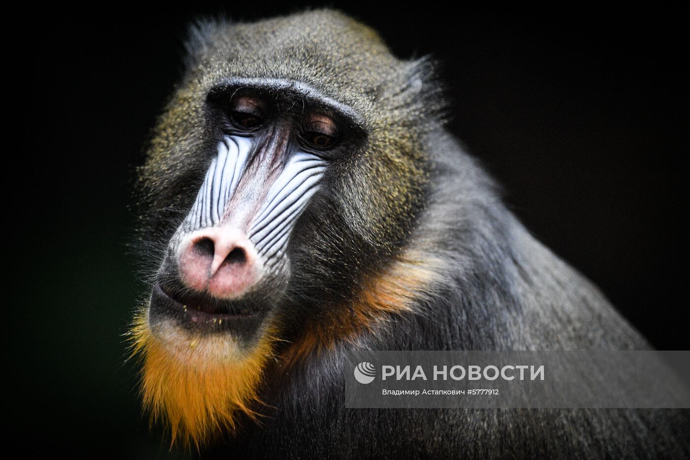 Московский зоопарк