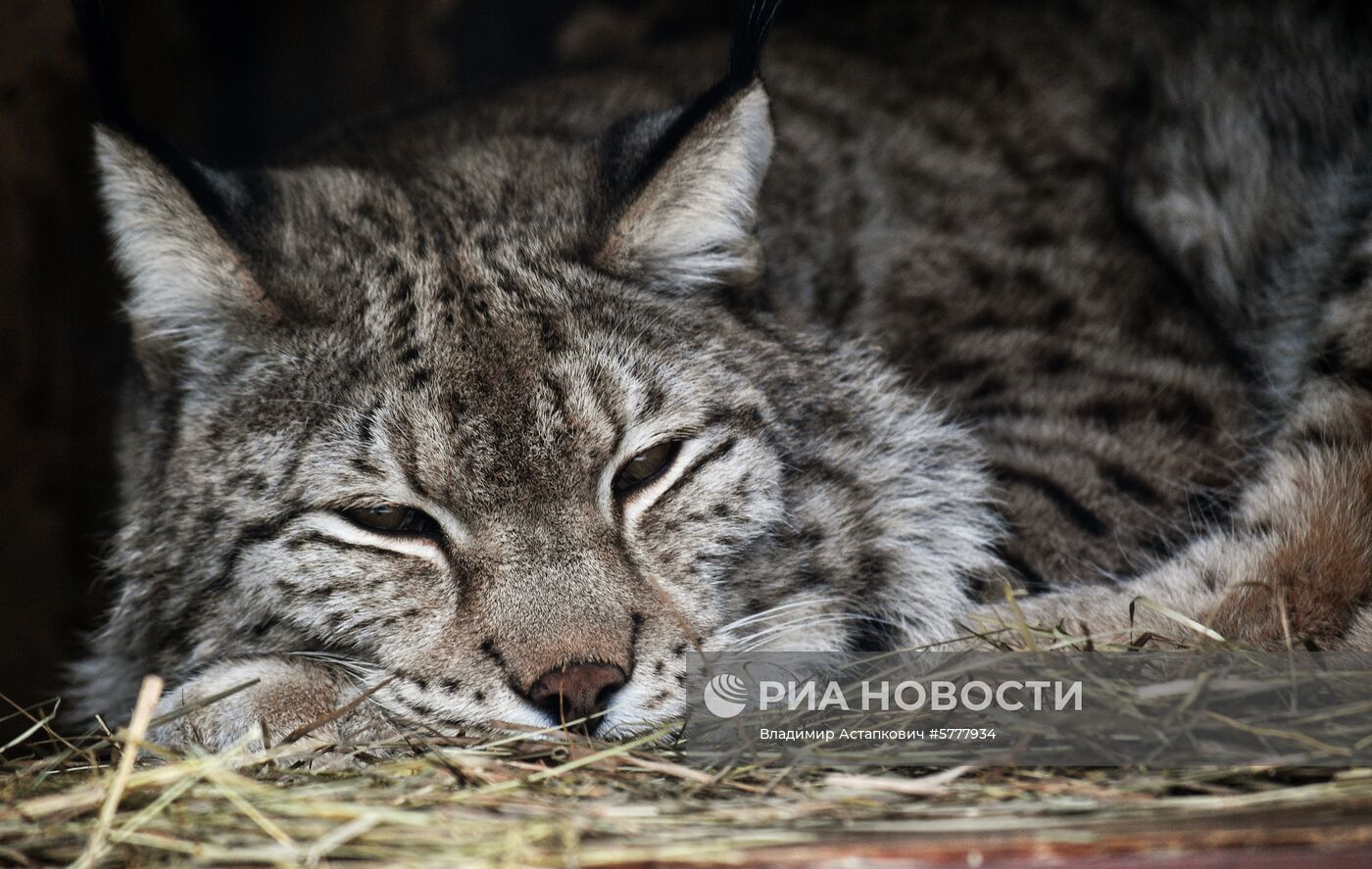 Московский зоопарк
