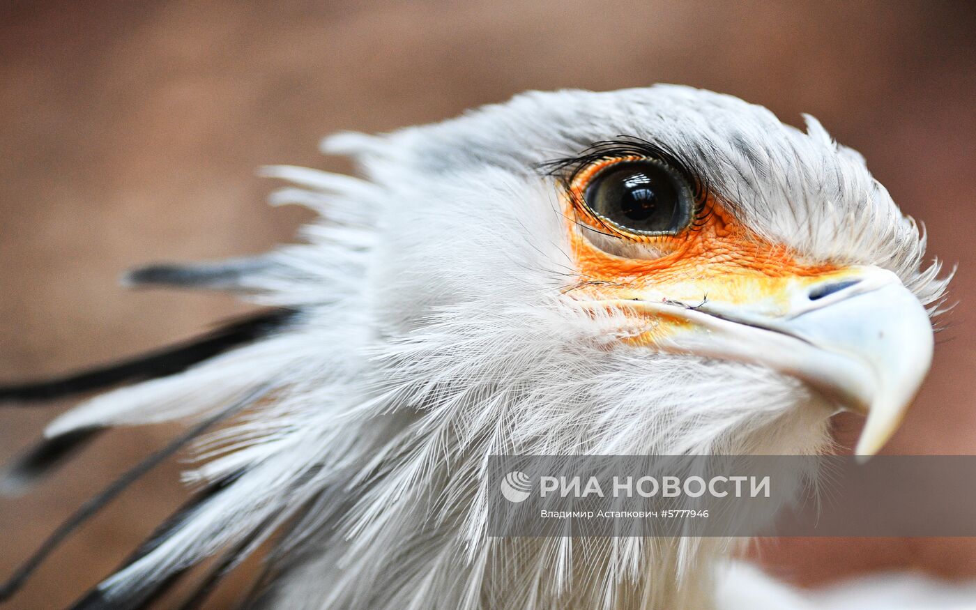 Московский зоопарк