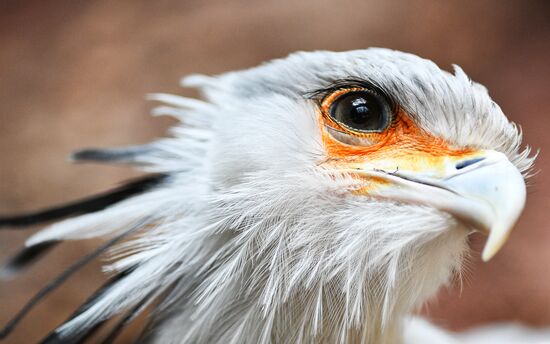 Московский зоопарк