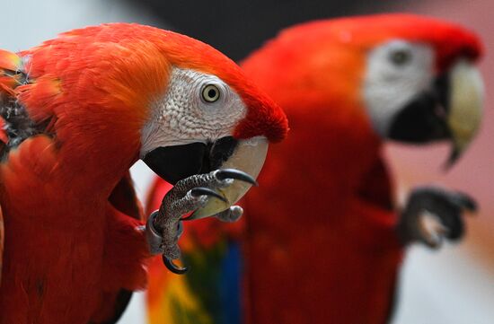 Московский зоопарк