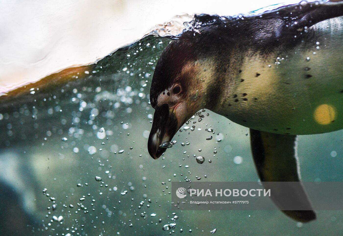 Московский зоопарк