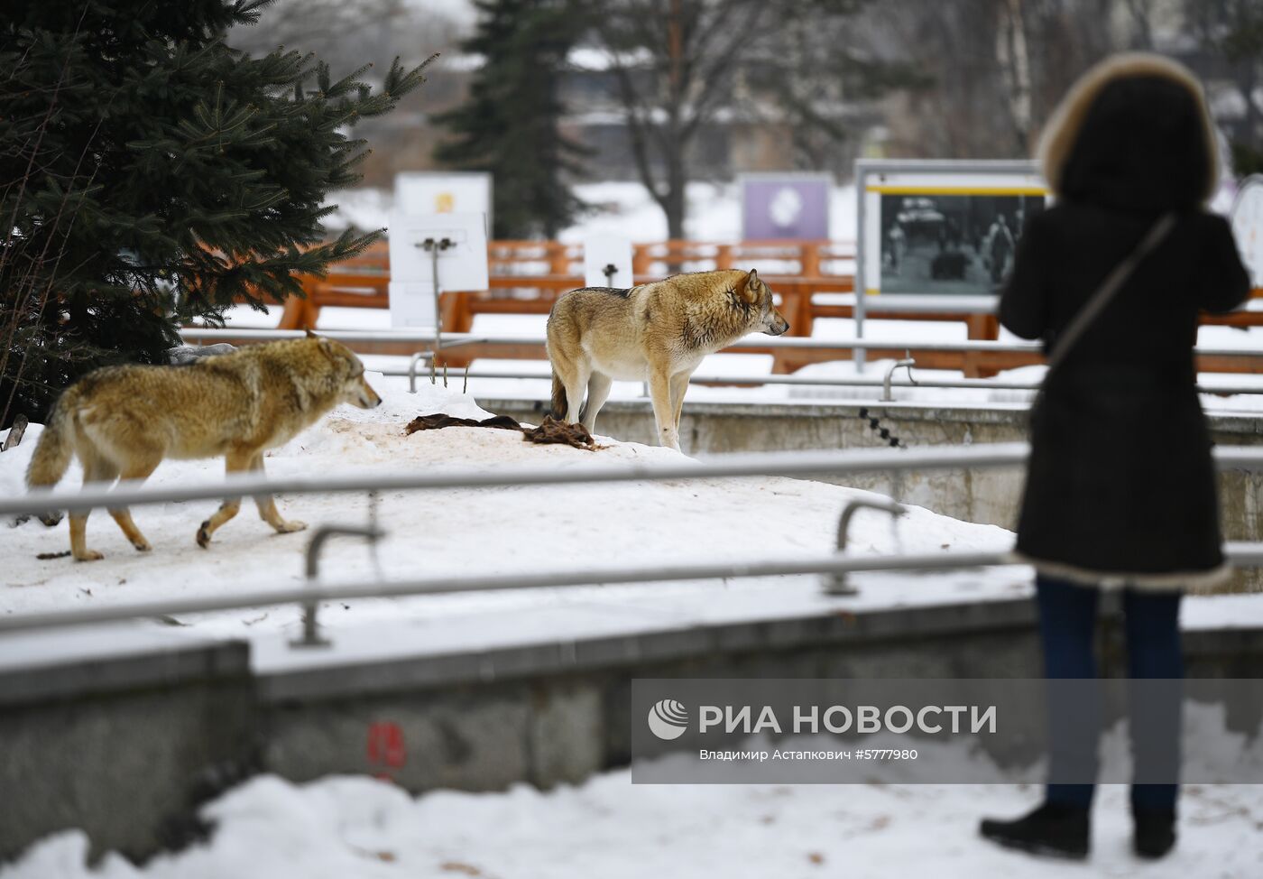 Московский зоопарк