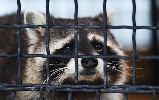 Московский зоопарк