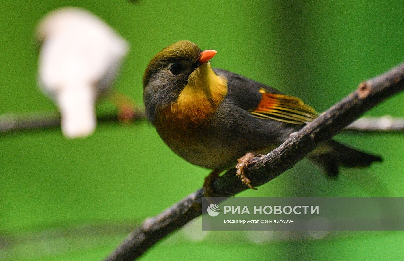 Московский зоопарк