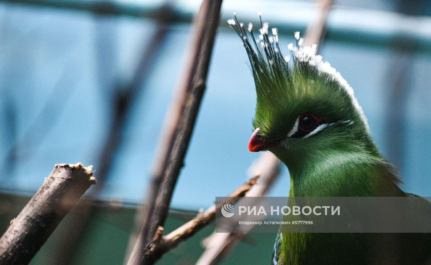 Московский зоопарк