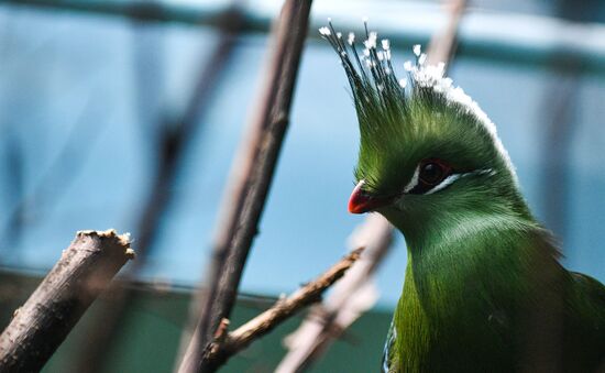 Московский зоопарк