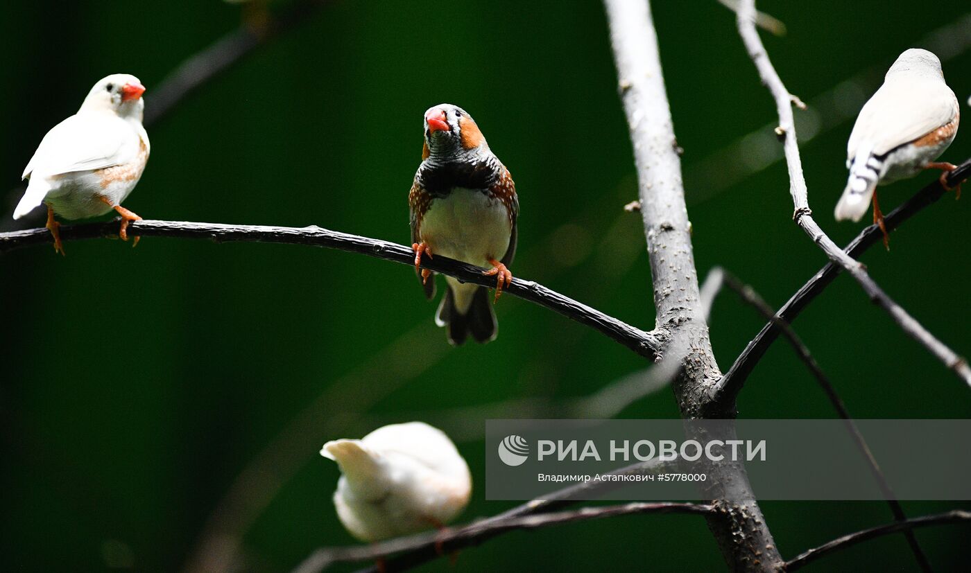 Московский зоопарк