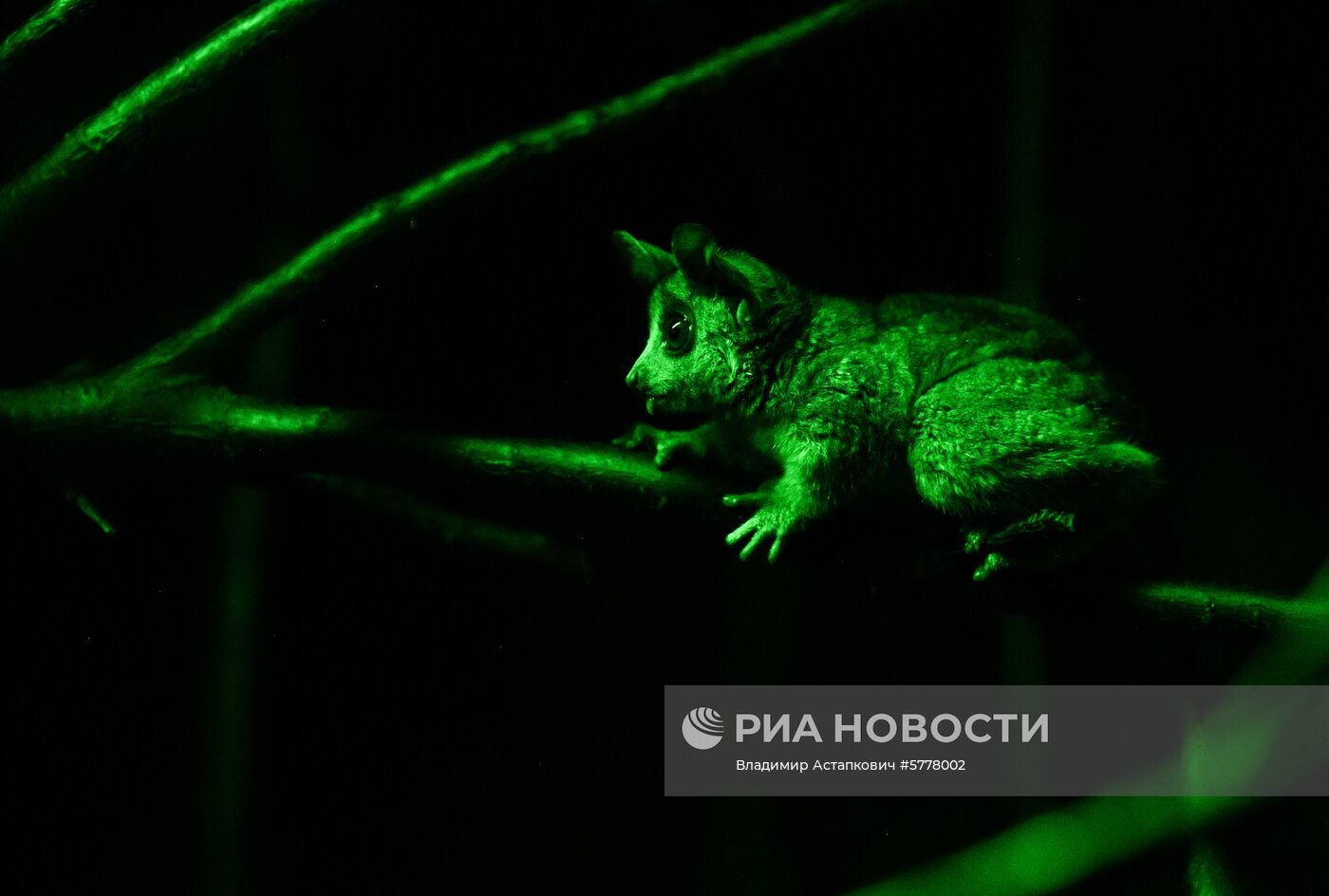 Московский зоопарк