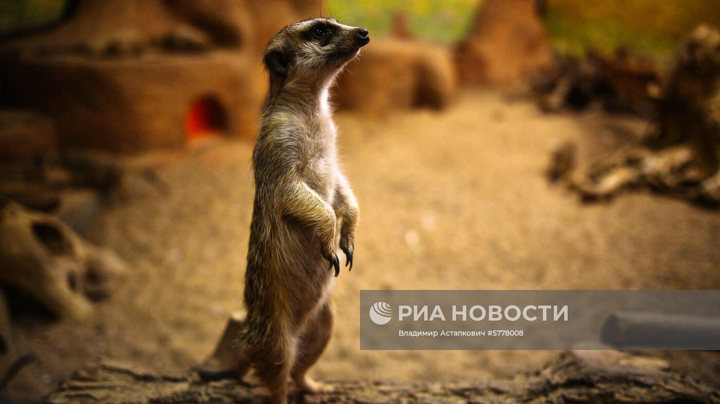 Московский зоопарк