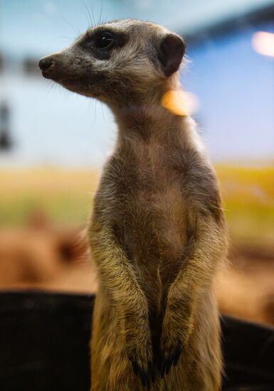 Московский зоопарк