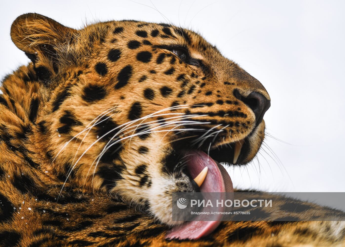 Московский зоопарк