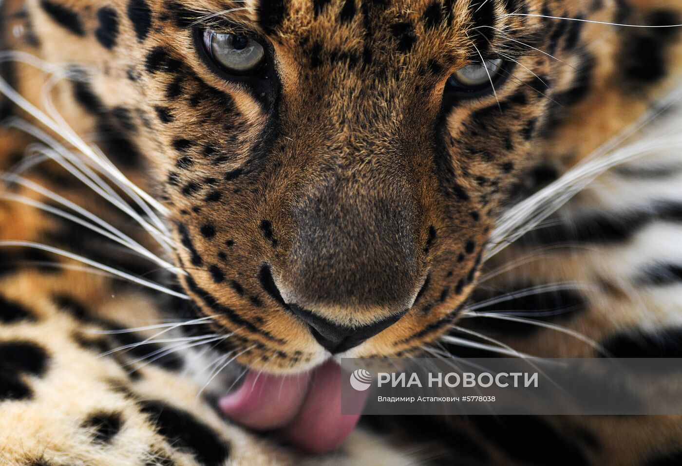 Московский зоопарк